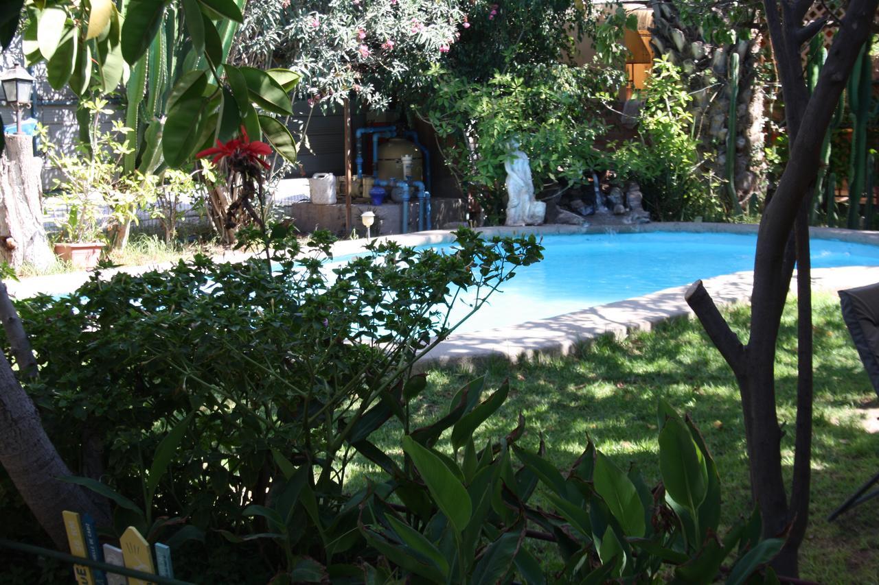 Tikay Suite Hotel Copiapó Zewnętrze zdjęcie