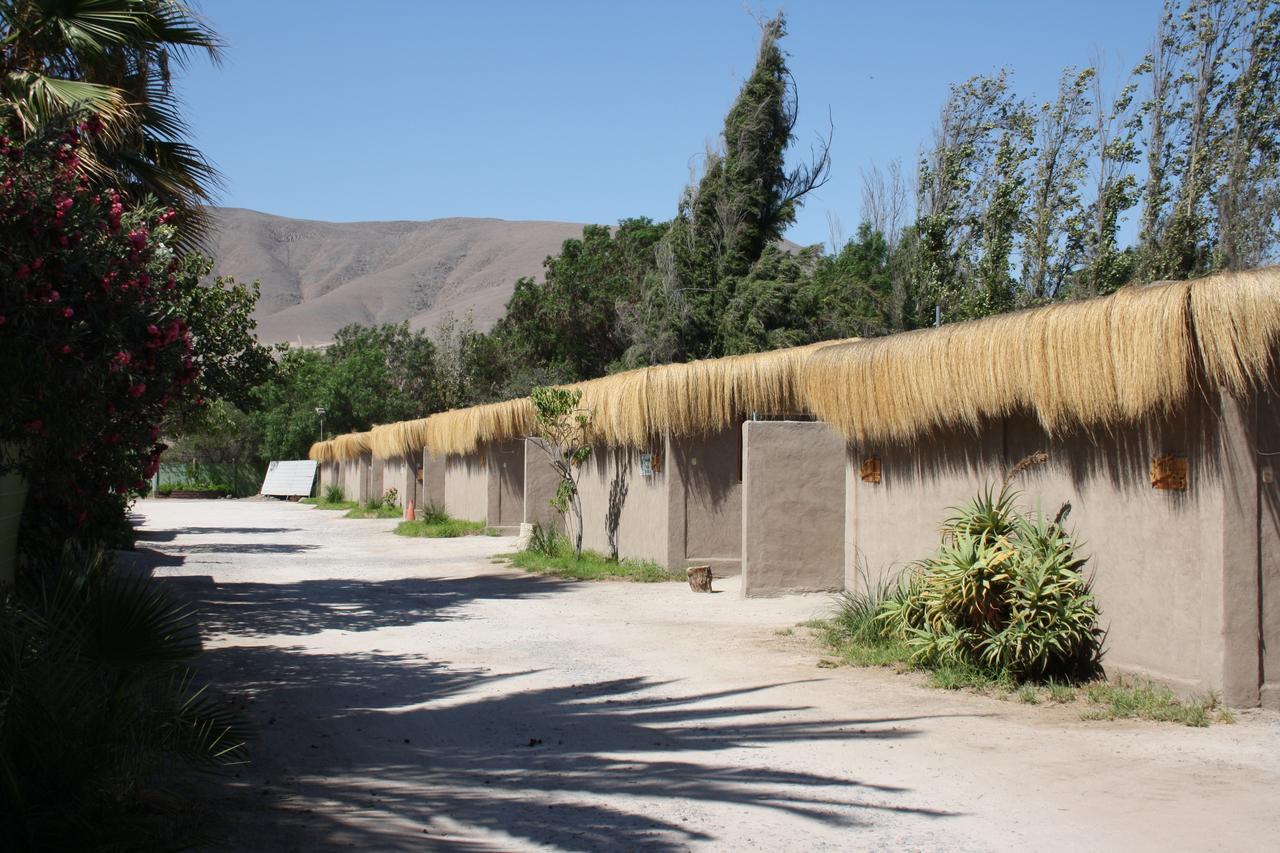 Tikay Suite Hotel Copiapó Zewnętrze zdjęcie