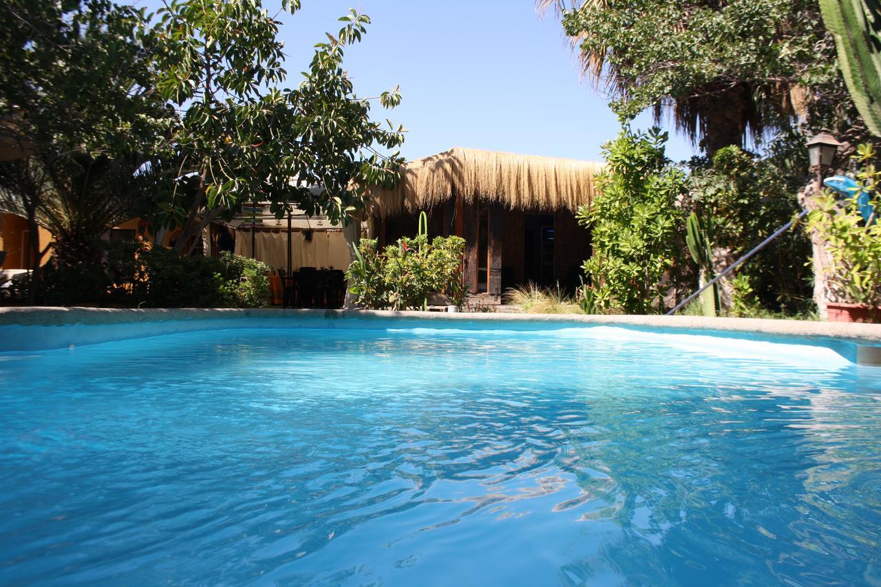Tikay Suite Hotel Copiapó Zewnętrze zdjęcie